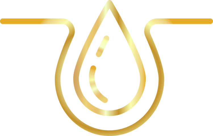 Icon showcasing serum absorption, highlighting the effective penetration of nourishing ingredients for enhanced hair and skin care with DermTech products.