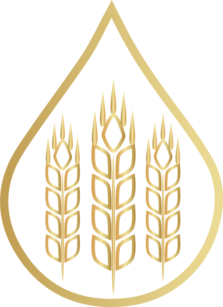 Golden icon representing Wheat Seed Extract, known for neutralizing hair with essential vitamins and improving moisture retention in DermTech products.