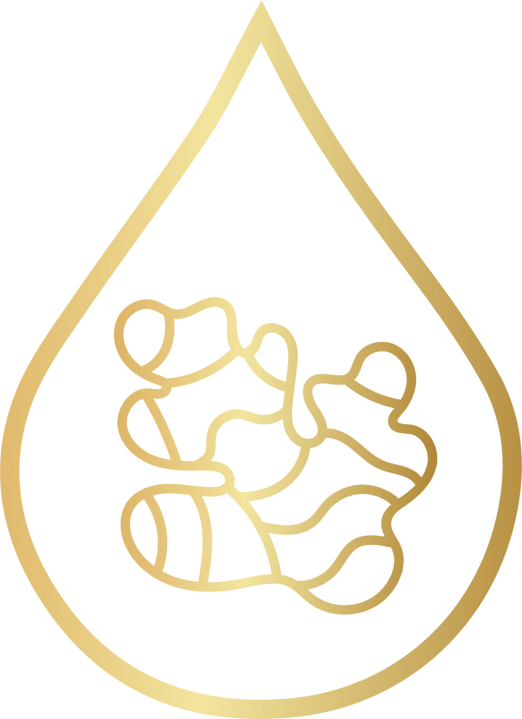 Golden icon representing Ginger Root, known for stimulating blood flow to hair follicles, reducing inflammation, and promoting healthy hair growth in DermTech products.