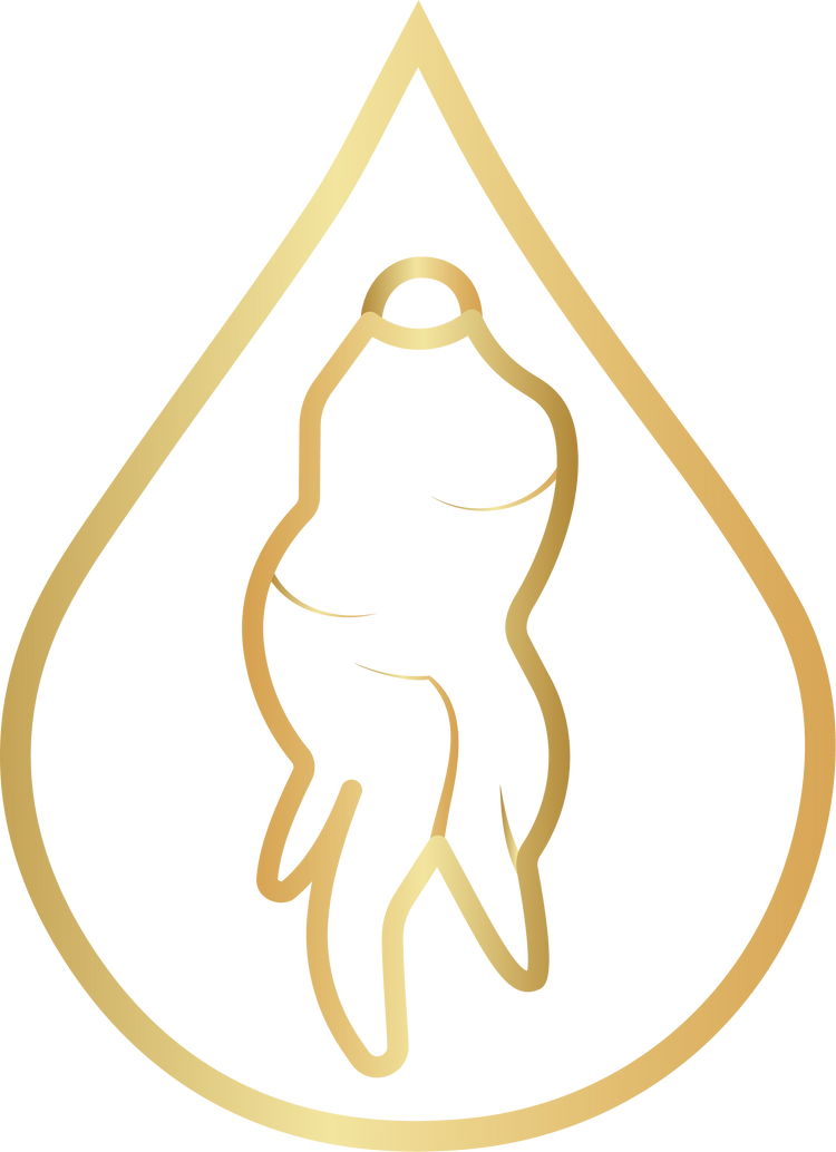 Golden icon representing Ginseng Root, known for improving hair follicle circulation, strengthening hair strands, and promoting healthy hair growth in DermTech products.